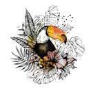 Toucan majestueux au cœur de la jungle